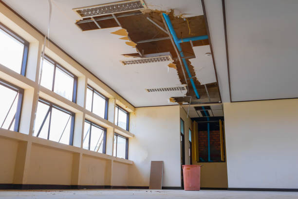 Best Emergency water damage restoration  in Lesslie, SC