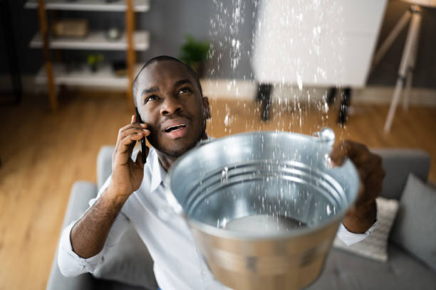 Best 24/7 water damage repair  in Lesslie, SC