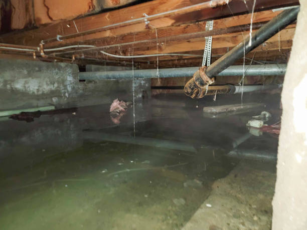 Best Emergency water damage restoration  in Lesslie, SC
