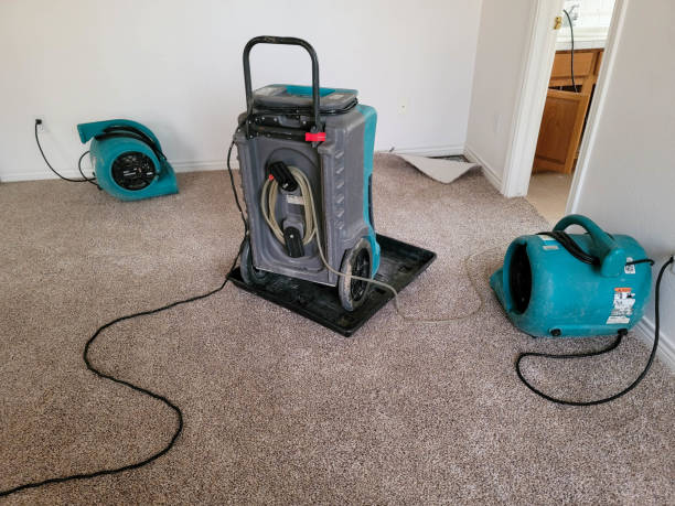 Carpet water damage restoration in Lesslie, SC