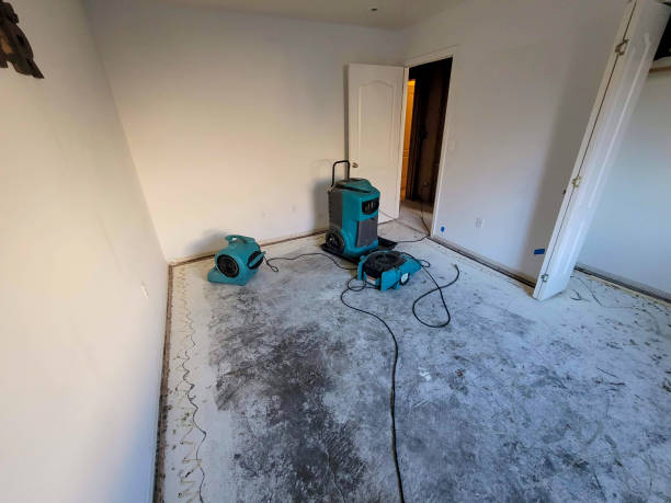 Best Carpet water damage restoration  in Lesslie, SC
