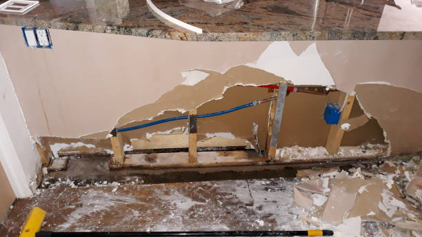 Best Mold removal after water damage  in Lesslie, SC