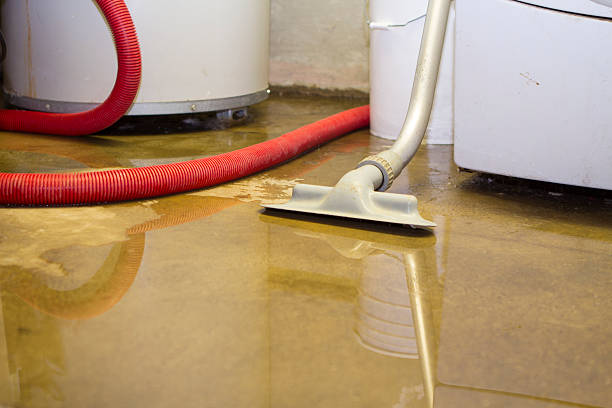 Best Local water damage restoration  in Lesslie, SC