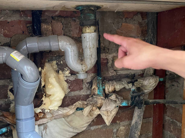 Best Flooded house restoration  in Lesslie, SC