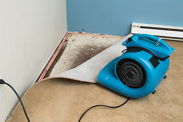 Best 24-hour water damage restoration  in Lesslie, SC
