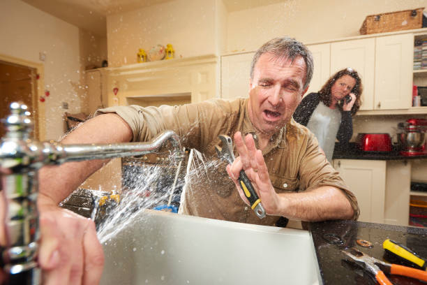Best Professional water damage repair  in Lesslie, SC